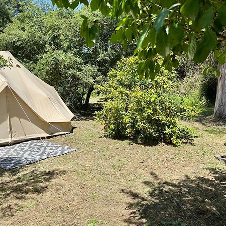 Giant Canvas Rental Tent Agro-Turismo Quinta Da Fonte فيغيرو دو فينوس المظهر الخارجي الصورة
