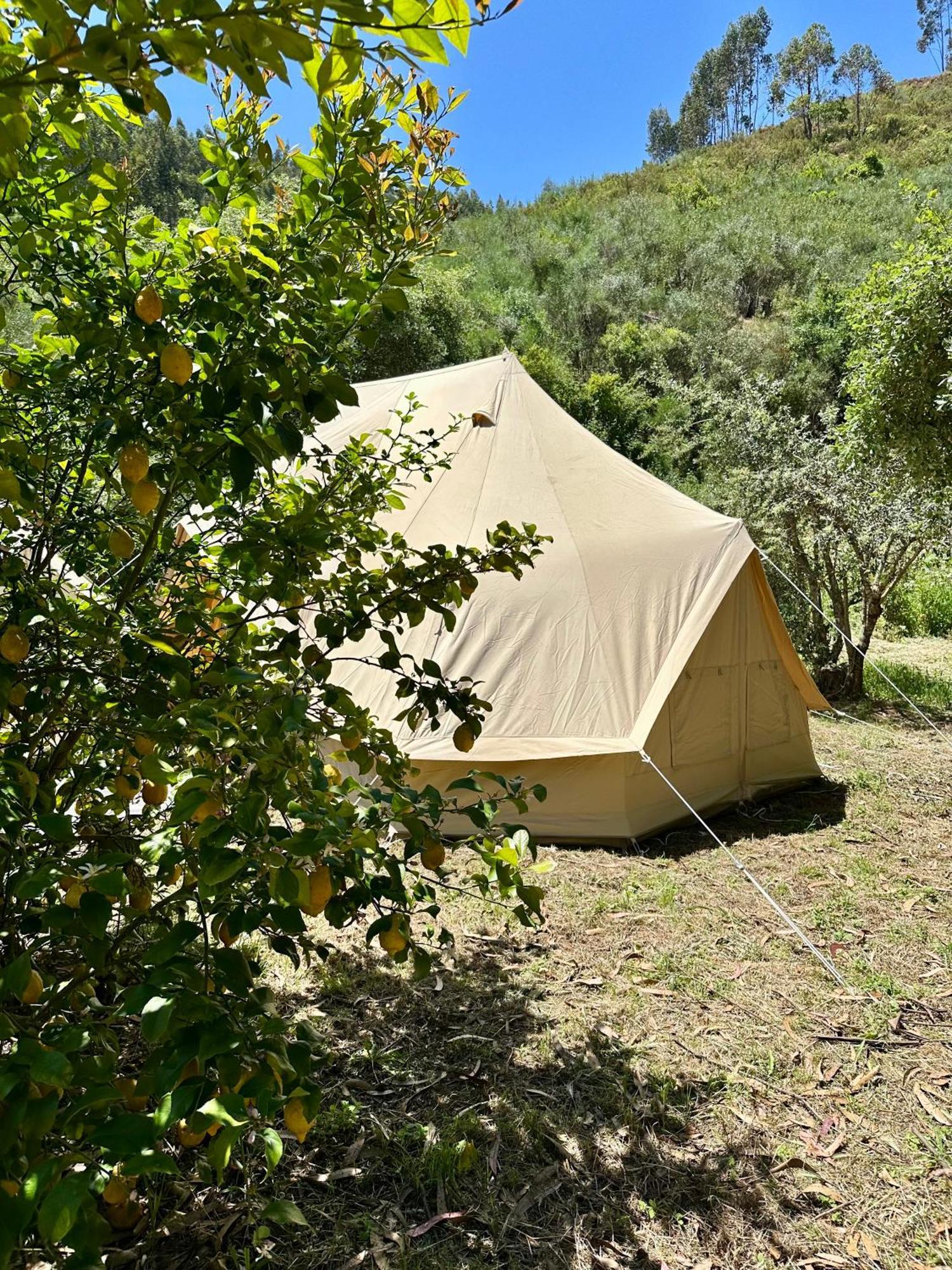 Giant Canvas Rental Tent Agro-Turismo Quinta Da Fonte فيغيرو دو فينوس المظهر الخارجي الصورة